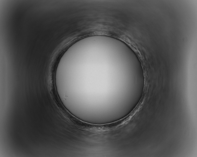 X0000088650245200705250947