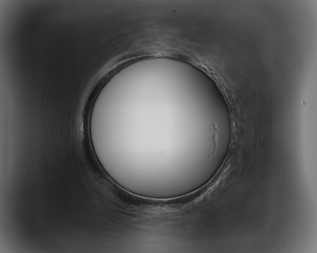 X0000088650246200705250947