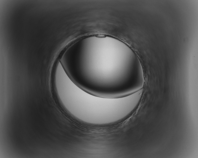 X0000088650248200705250947
