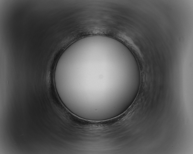 X0000088650250200705250947