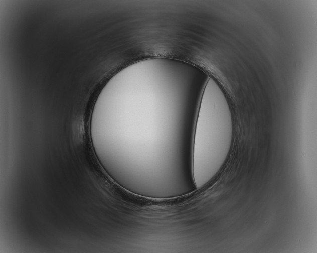 X0000088650251200705250947
