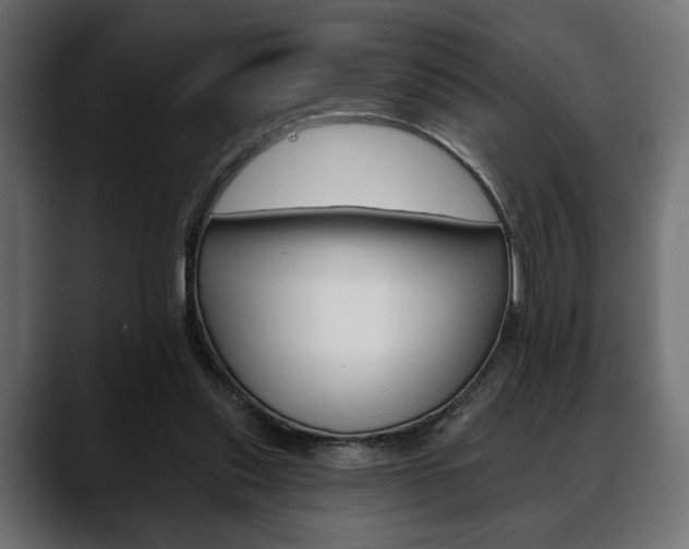 X0000088650253200705250947