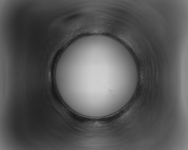 X0000088650254200705250947