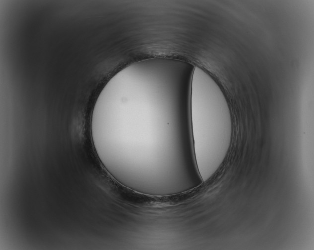 X0000088650255200705250947