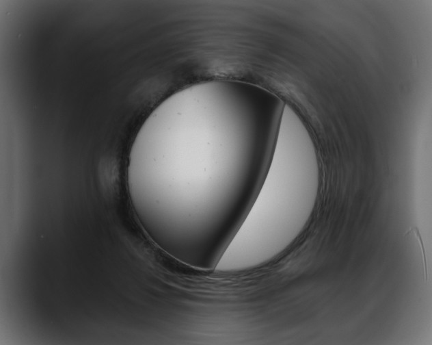 X0000088650260200705250947
