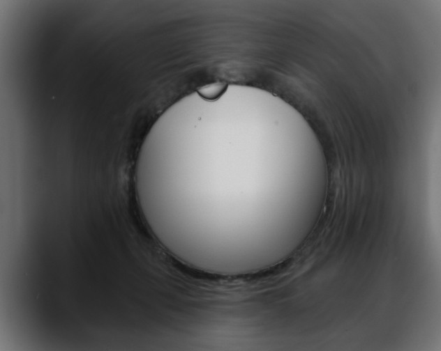 X0000088650271200705250948