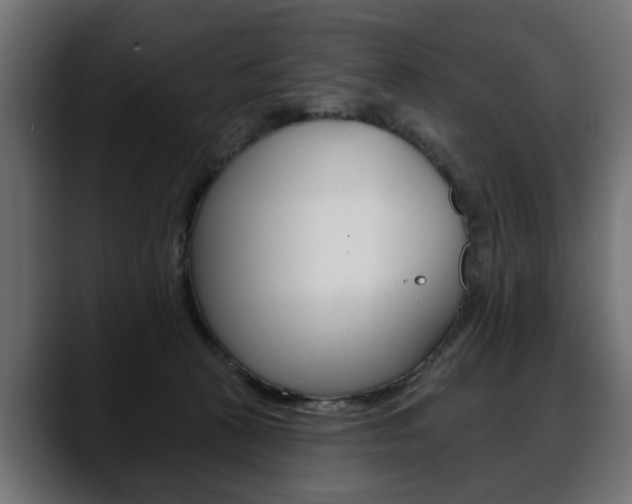 X0000088650273200705250948