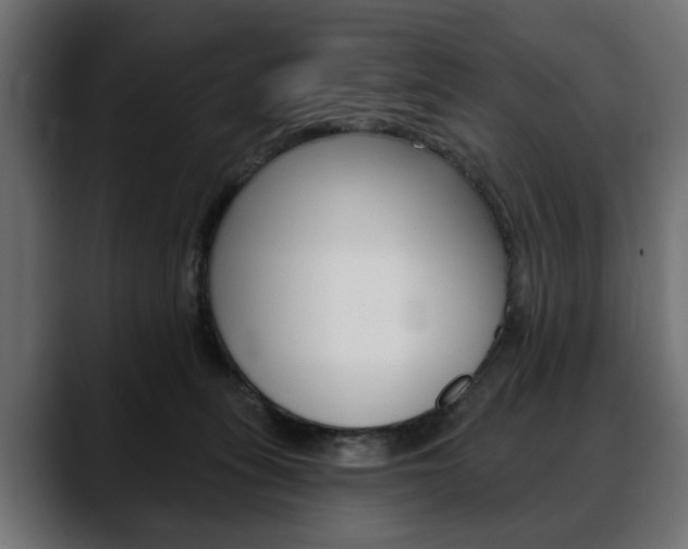 X0000088650275200705250948