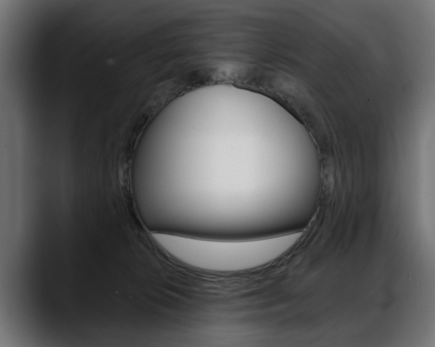 X0000088650276200705250948