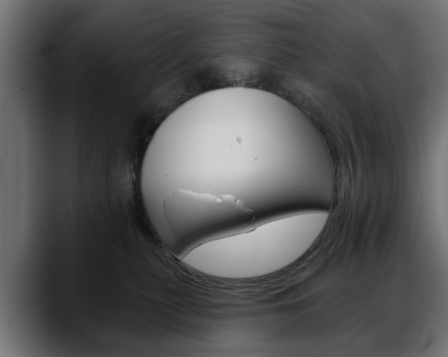 X0000088650279200705250948