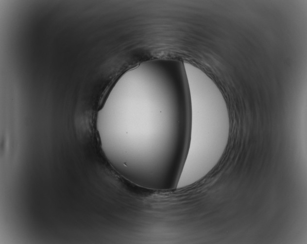 X0000088650280200705250948