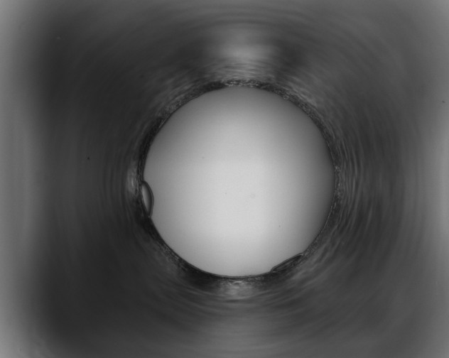 X0000088650287200705250948