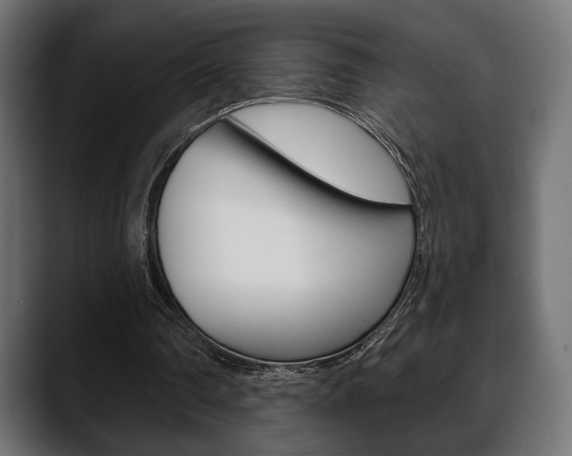 X0000088650290200705250947