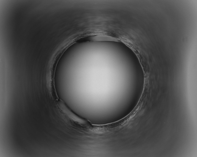 X0000088650293200705250947