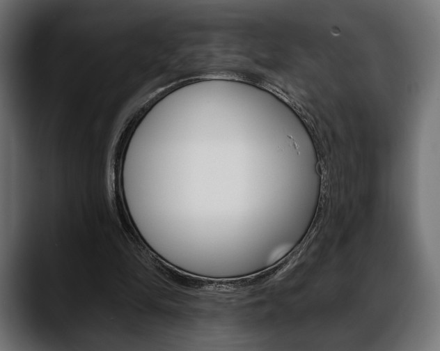 X0000088650294200705250947