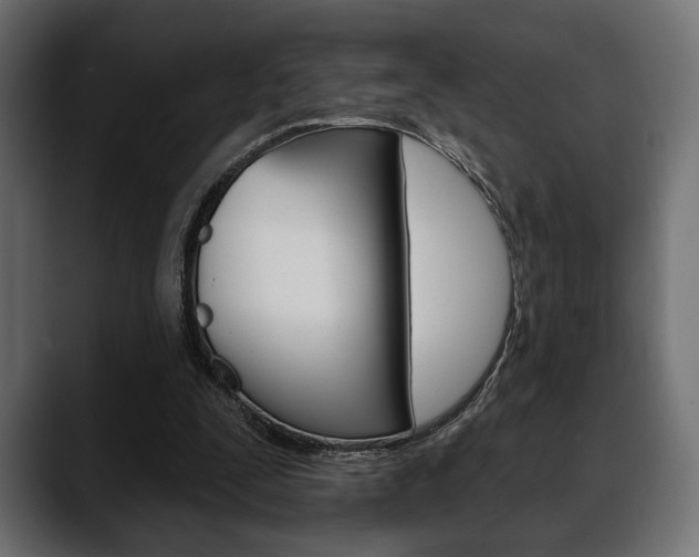 X0000088650295200705250947