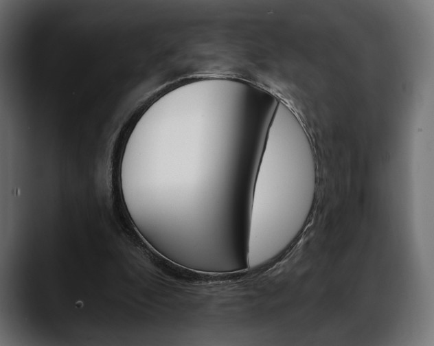 X0000088650296200705250947