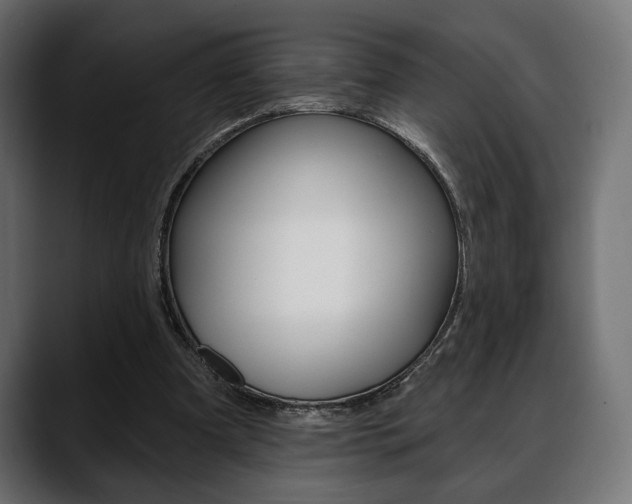 X0000088650297200705250947