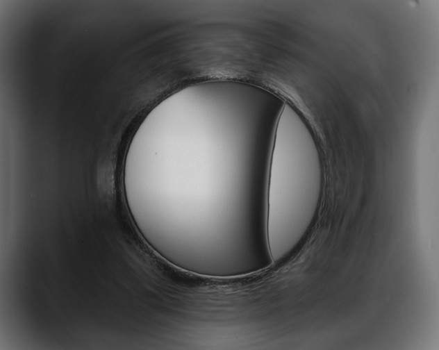 X0000088650299200705250947