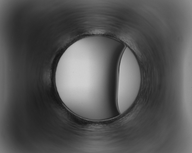 X0000088650300200705250947