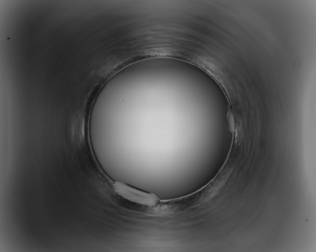 X0000088650301200705250947