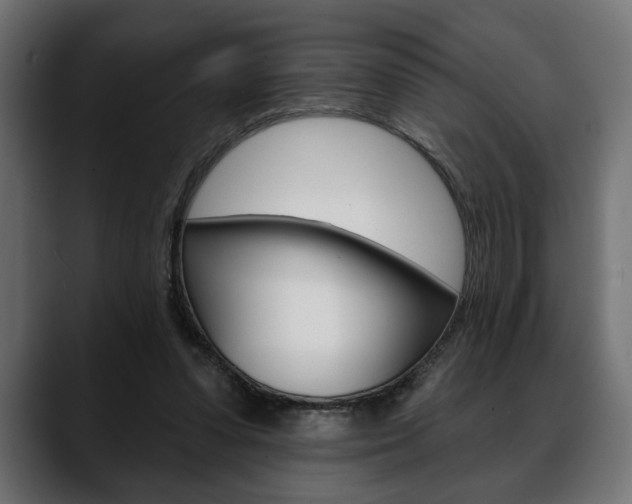X0000088650303200705250947