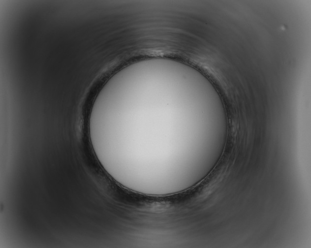 X0000088650304200705250947