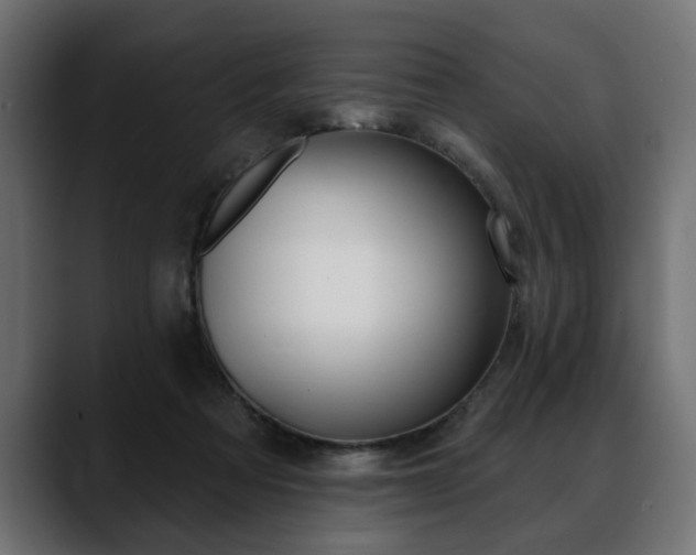 X0000088650313200705250947