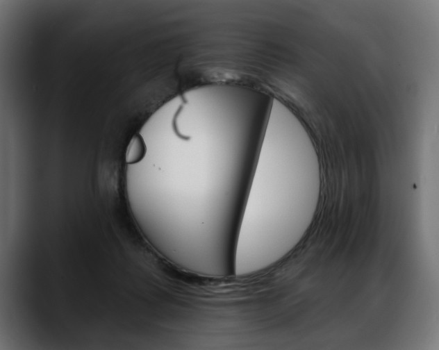 X0000088650315200705250947