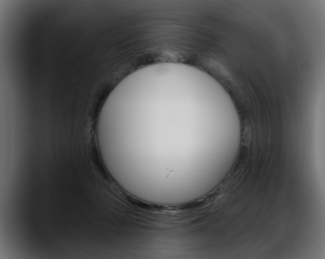 X0000088650318200705250947