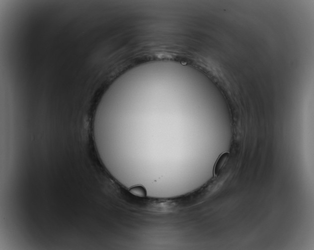 X0000088650321200705250947