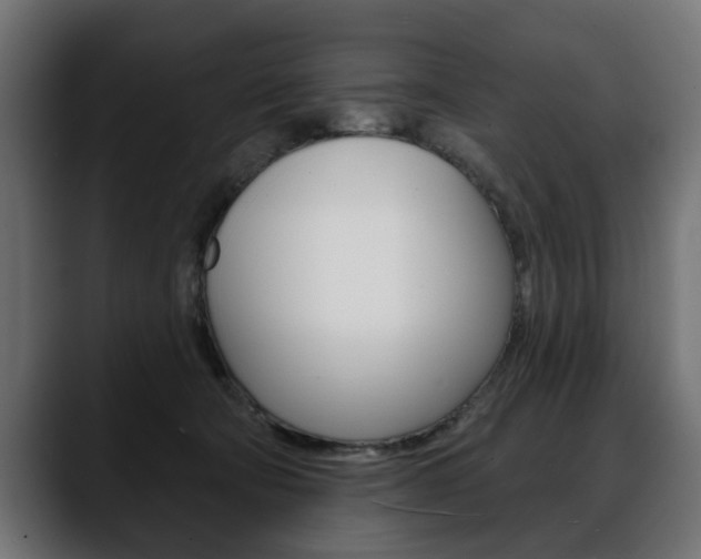 X0000088650322200705250947