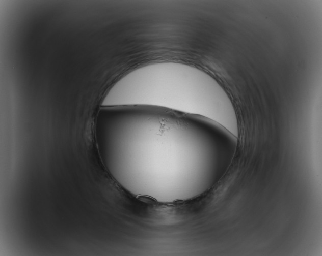 X0000088650325200705250947