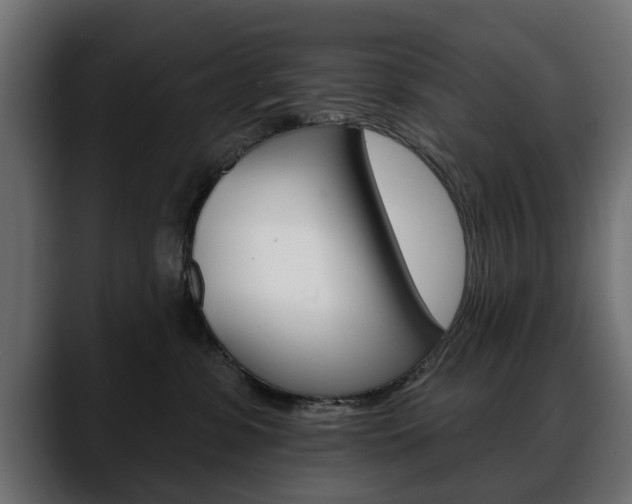 X0000088650331200705250947
