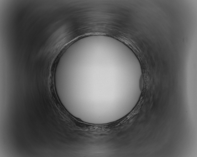 X0000088650338200705250946