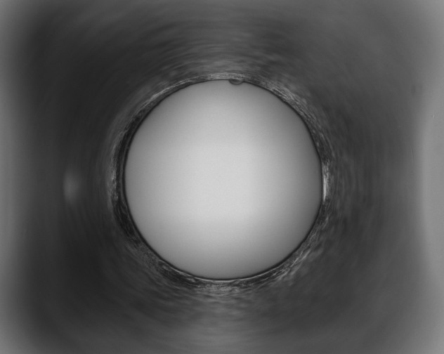 X0000088650339200705250946