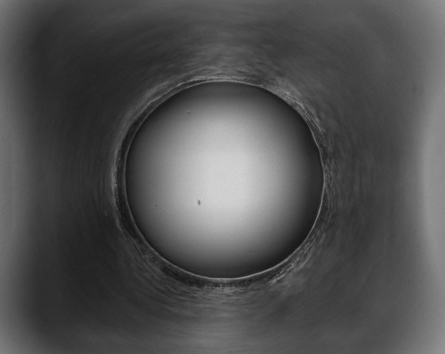 X0000088650340200705250946