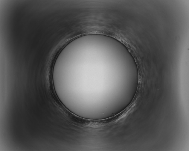X0000088650341200705250946