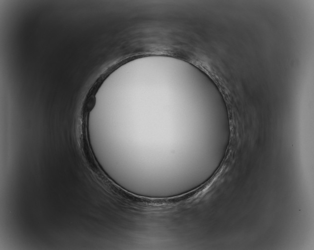 X0000088650342200705250946