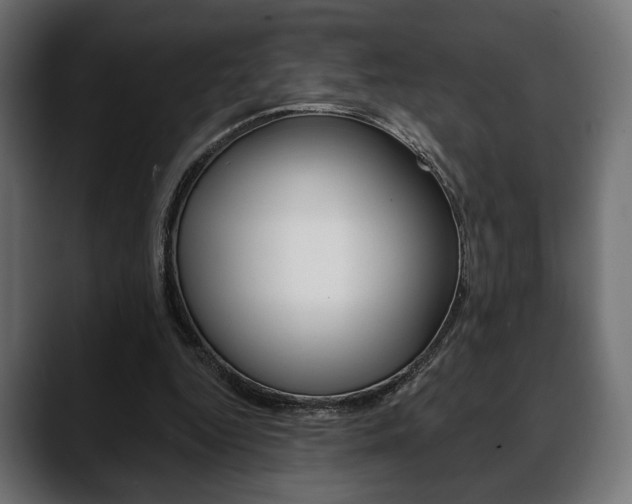 X0000088650344200705250946
