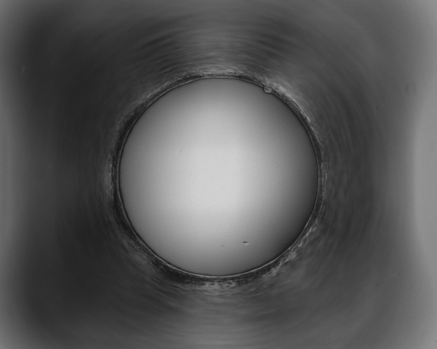 X0000088650345200705250946