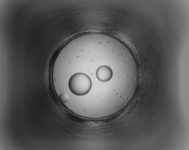X0000088650346200705250946