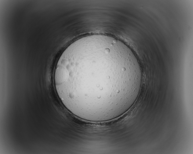 X0000088650347200705250946