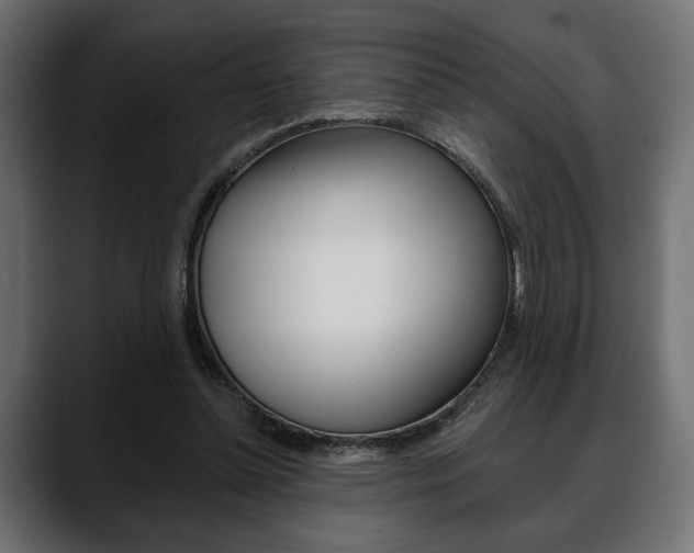 X0000088650348200705250946