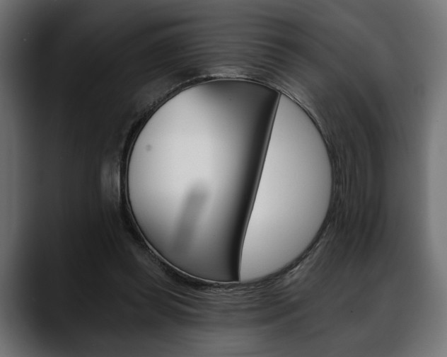 X0000088650349200705250946