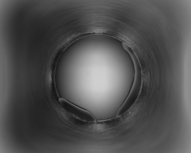 X0000088650350200705250946