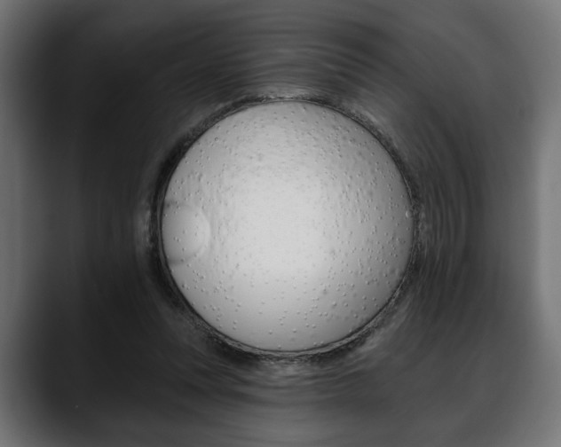 X0000088650351200705250946