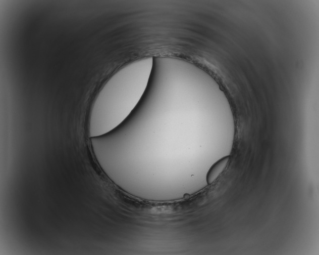 X0000088650353200705250946