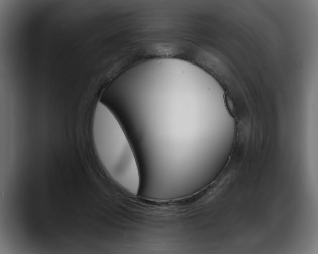 X0000088650358200705250946