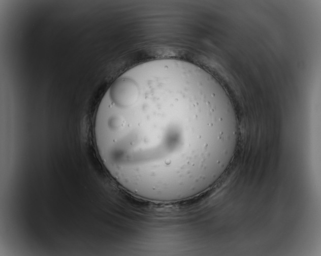 X0000088650359200705250946